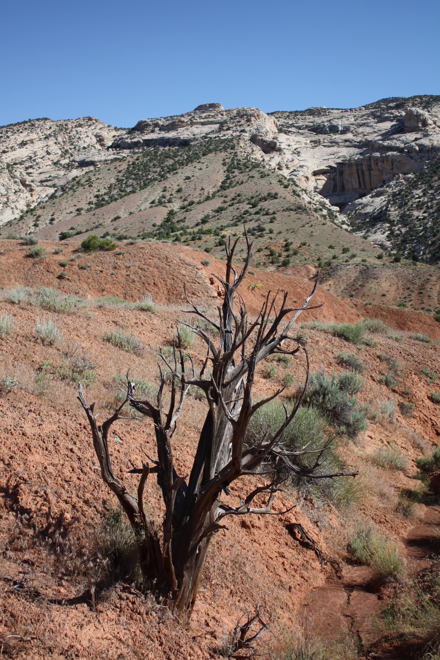 Hike the Desert Voices and Sound of Silence Trails