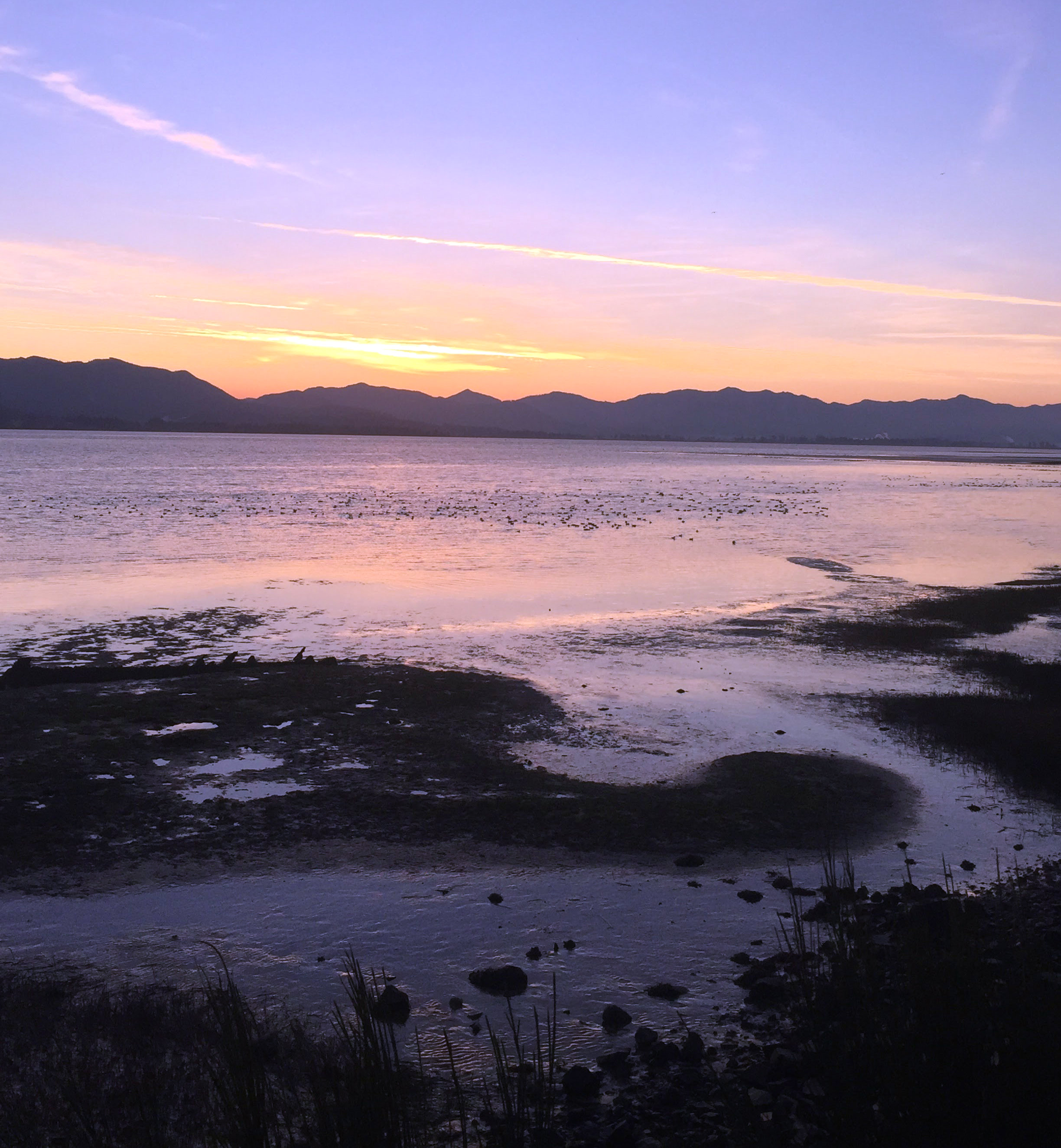 Explore Bayocean Peninsula Park 