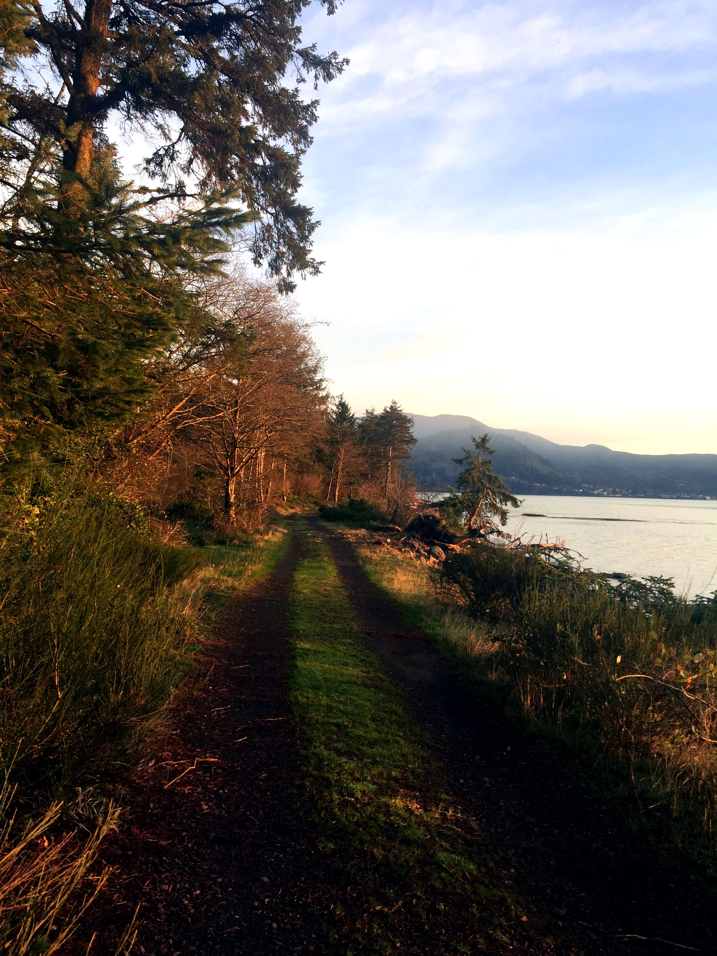 Explore Bayocean Peninsula Park 
