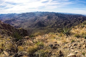 Hike Picketpost Mountain