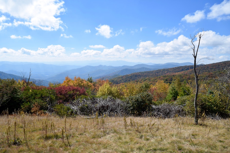 Backpack to Spence Field , Tennessee