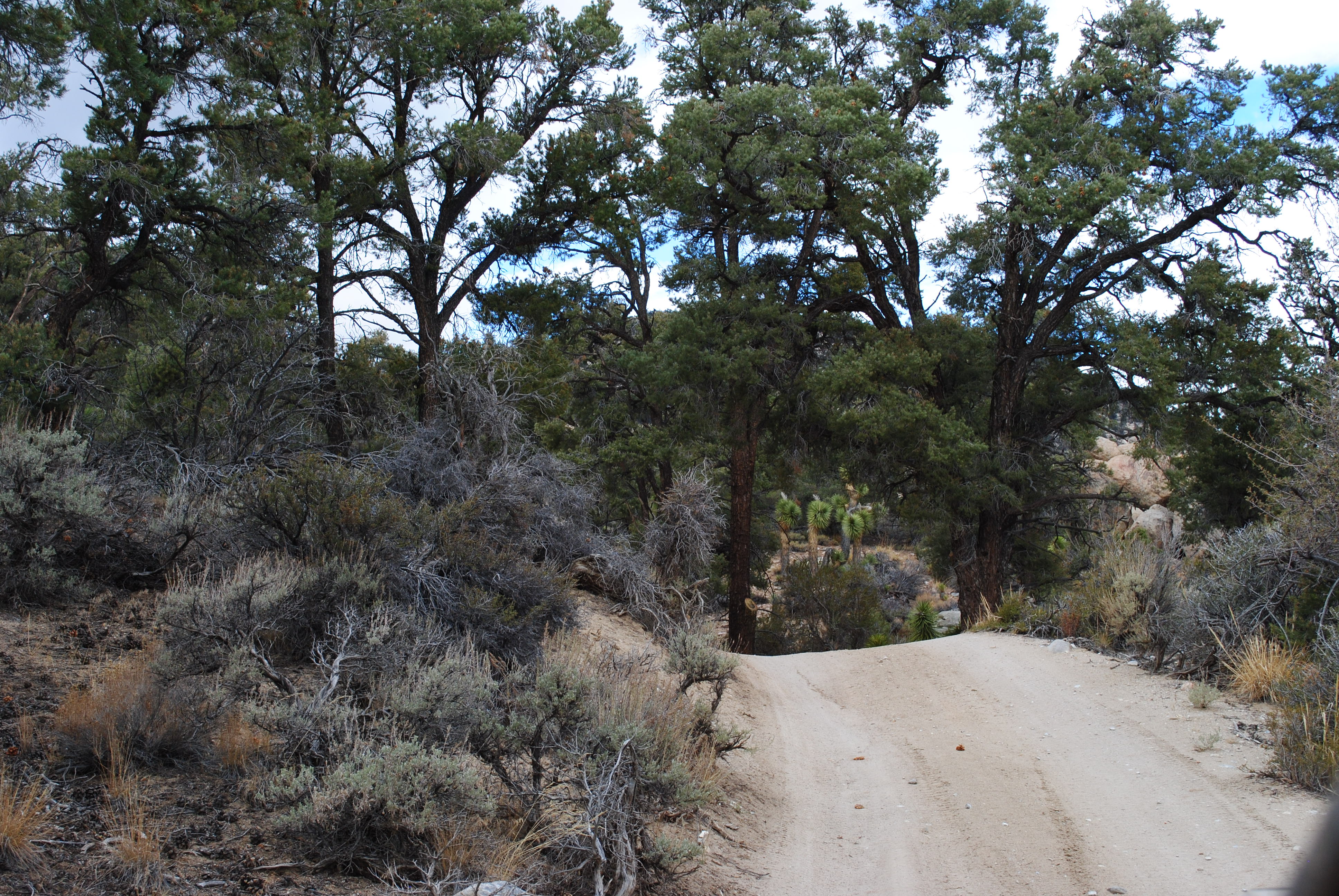 Off-Road Jacoby Canyon