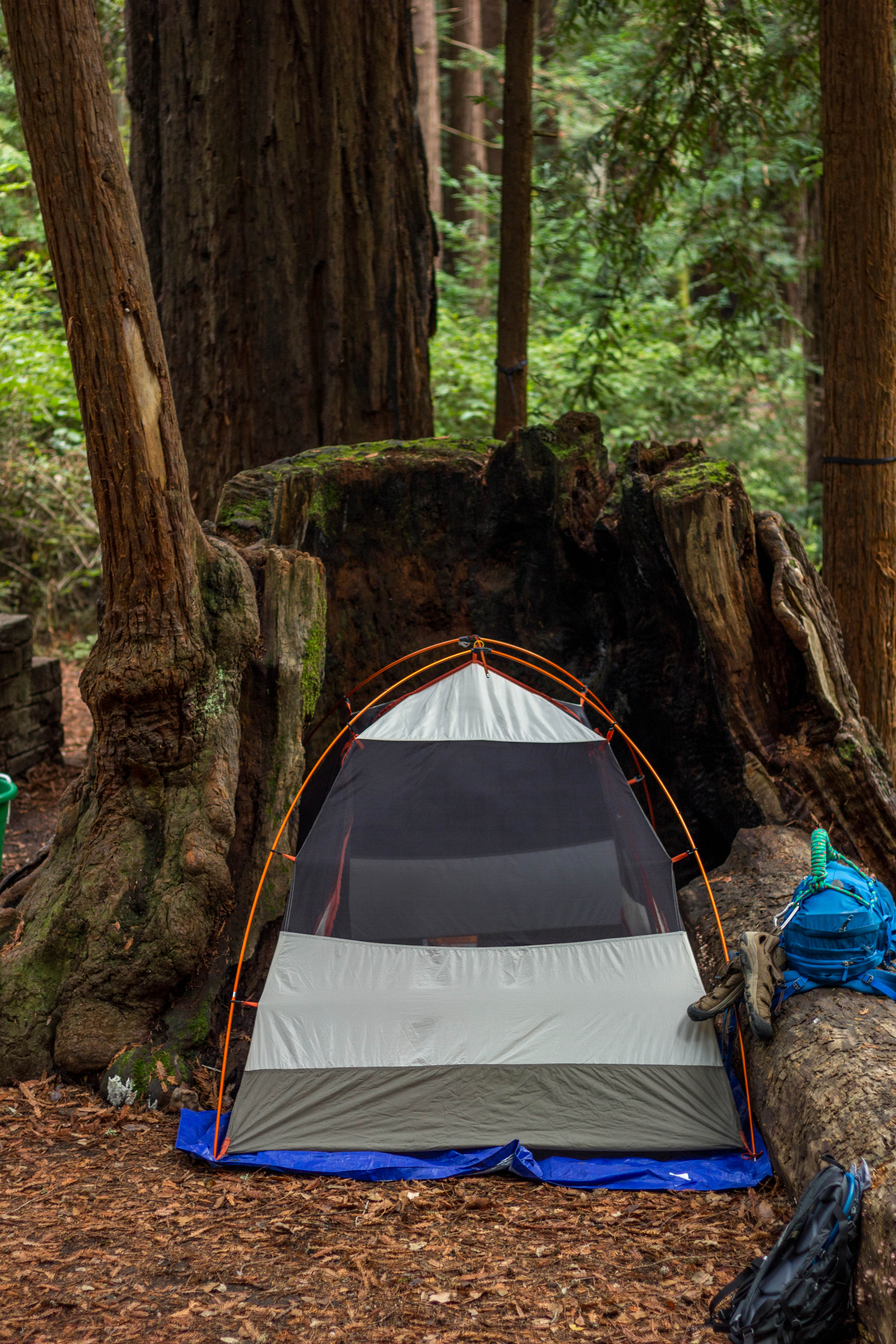  Camp Under the Redwoods at Memorial Park 