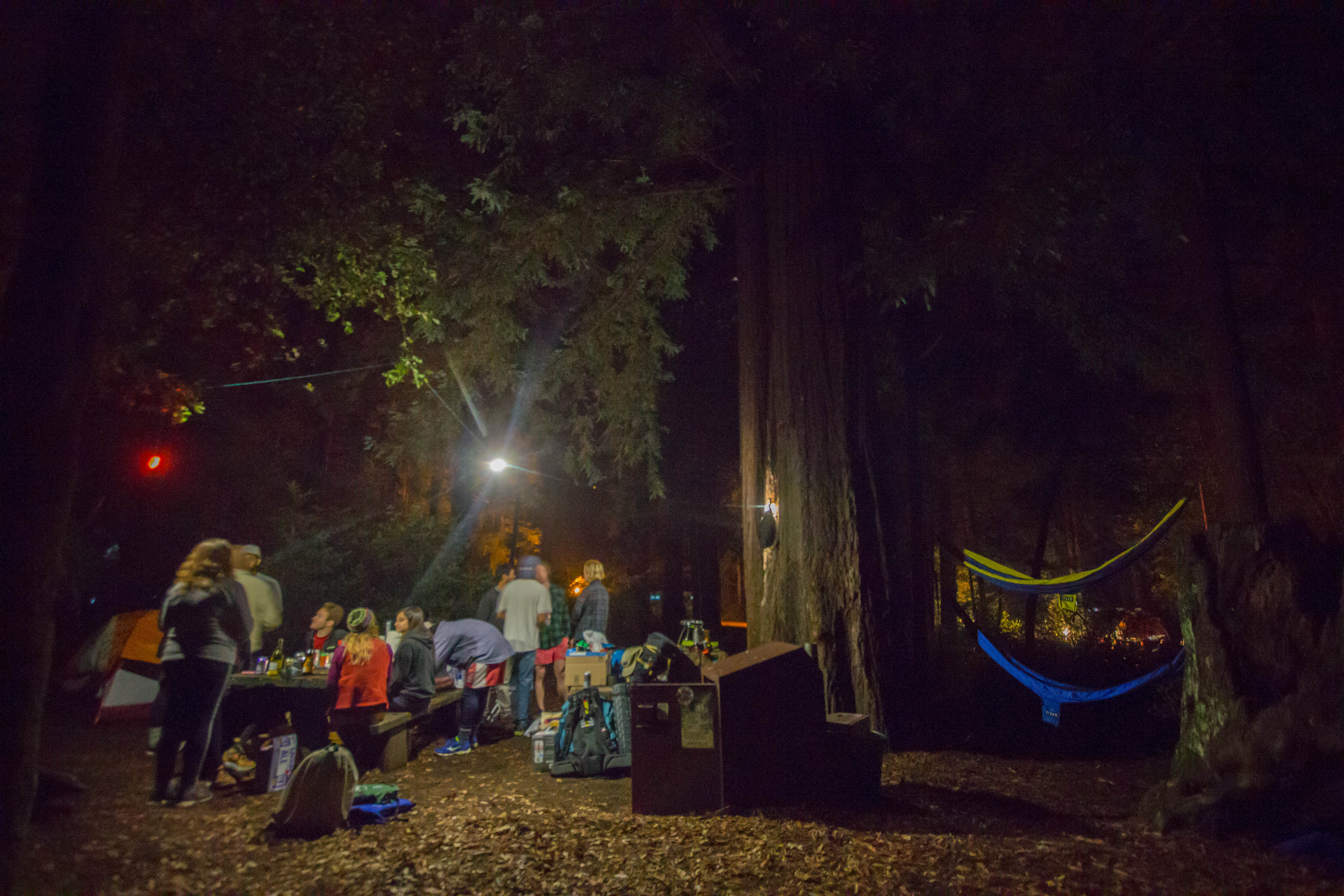  Camp Under the Redwoods at Memorial Park 
