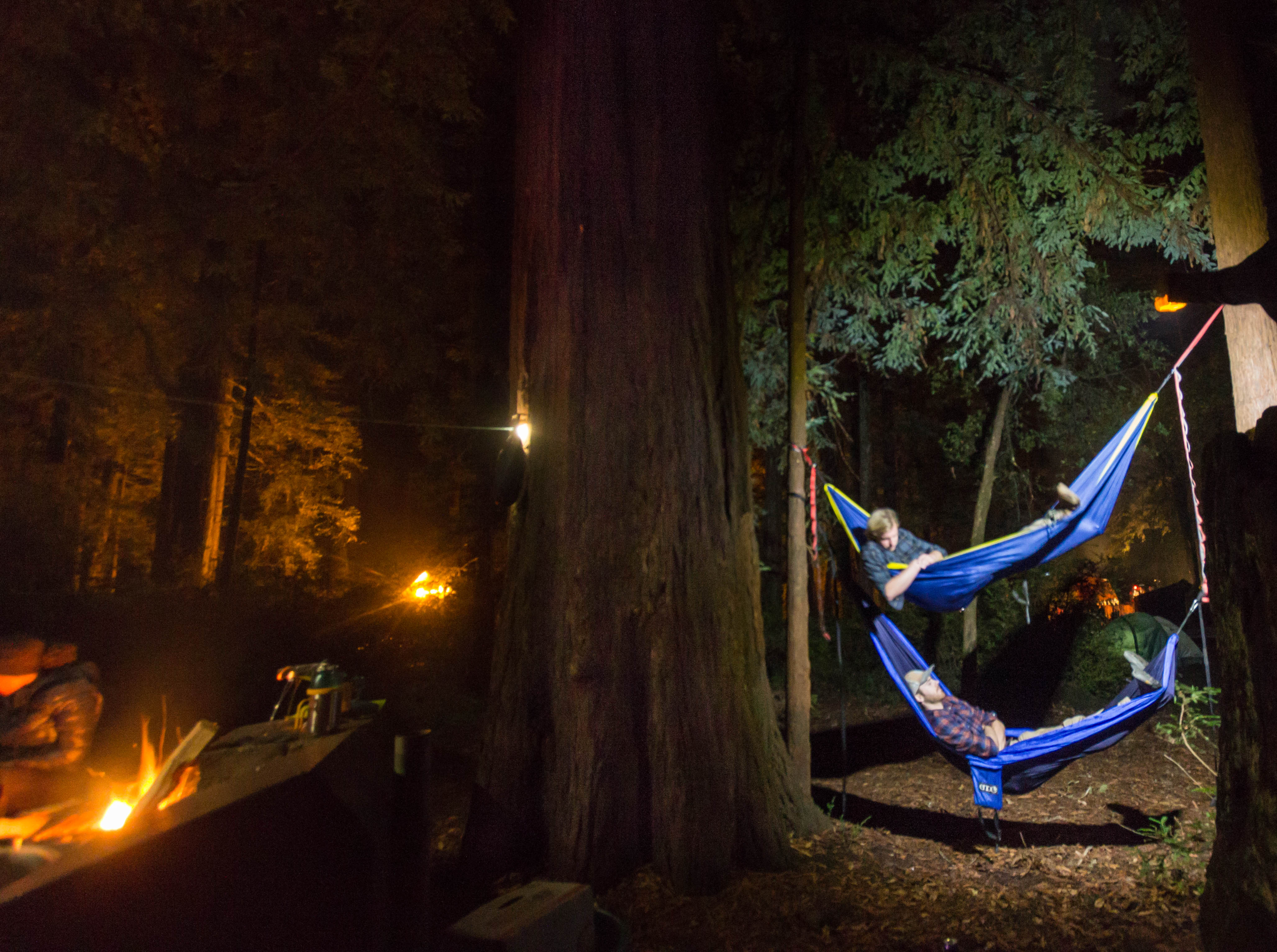  Camp Under the Redwoods at Memorial Park 