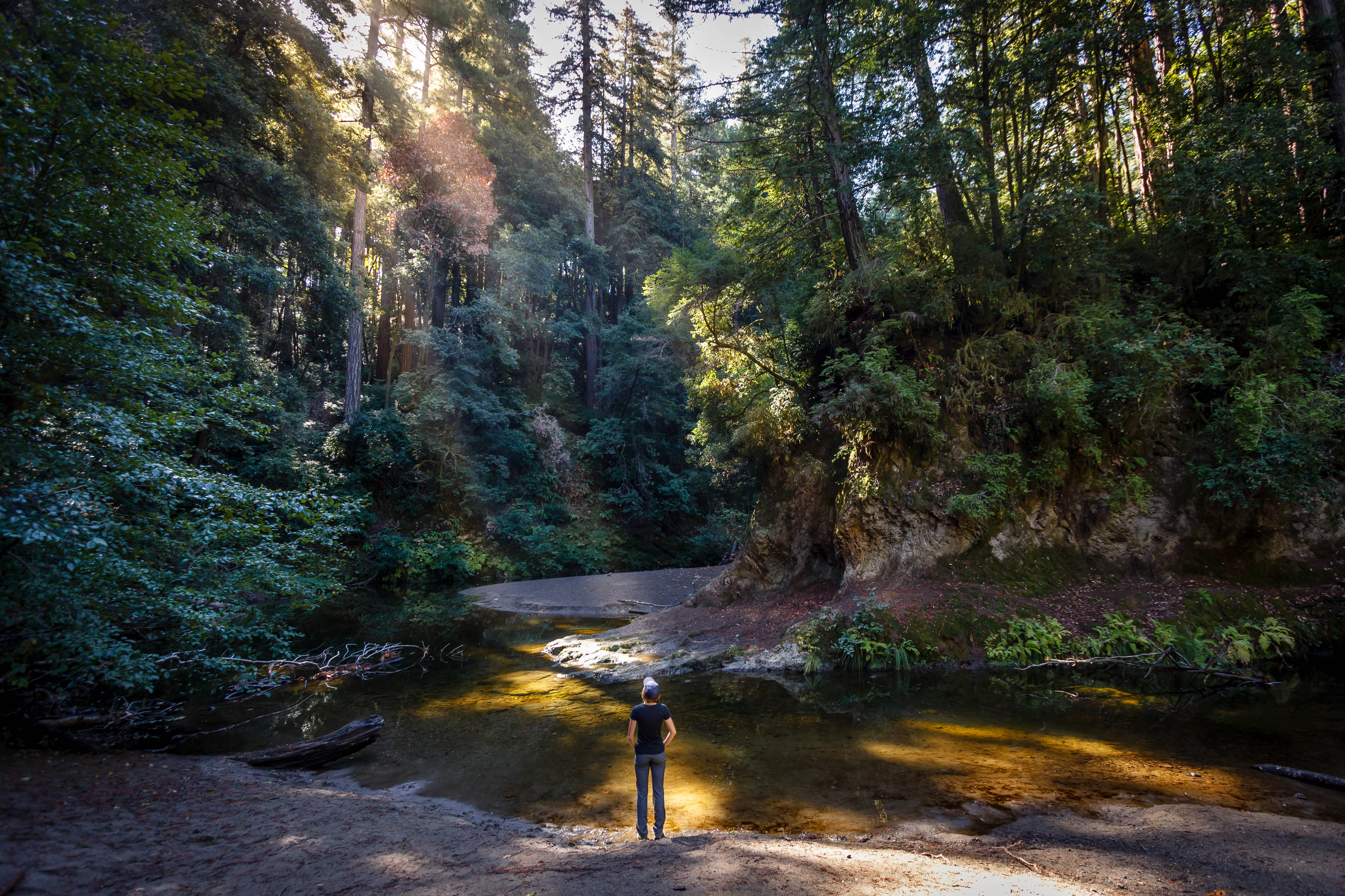  Camp Under the Redwoods at Memorial Park 