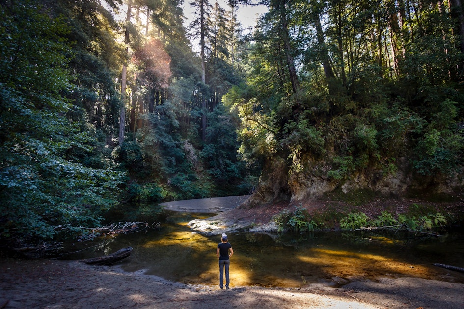 Camp Under the Redwoods at Memorial Park , Memorial Park