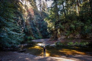  Camp Under the Redwoods at Memorial Park 