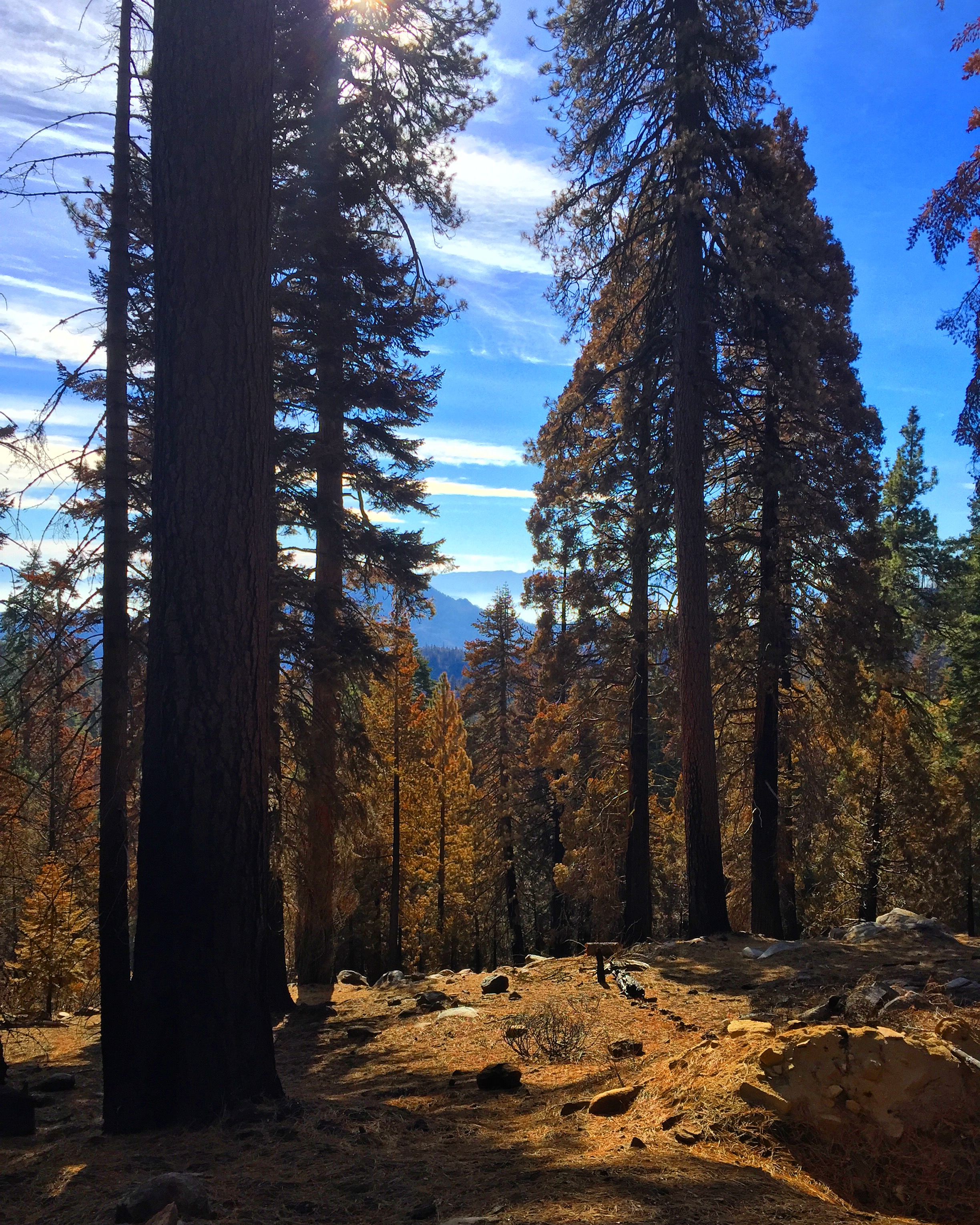 Sunday Peak Trail