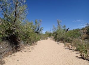 Hike the Badger Spring Wash Trail
