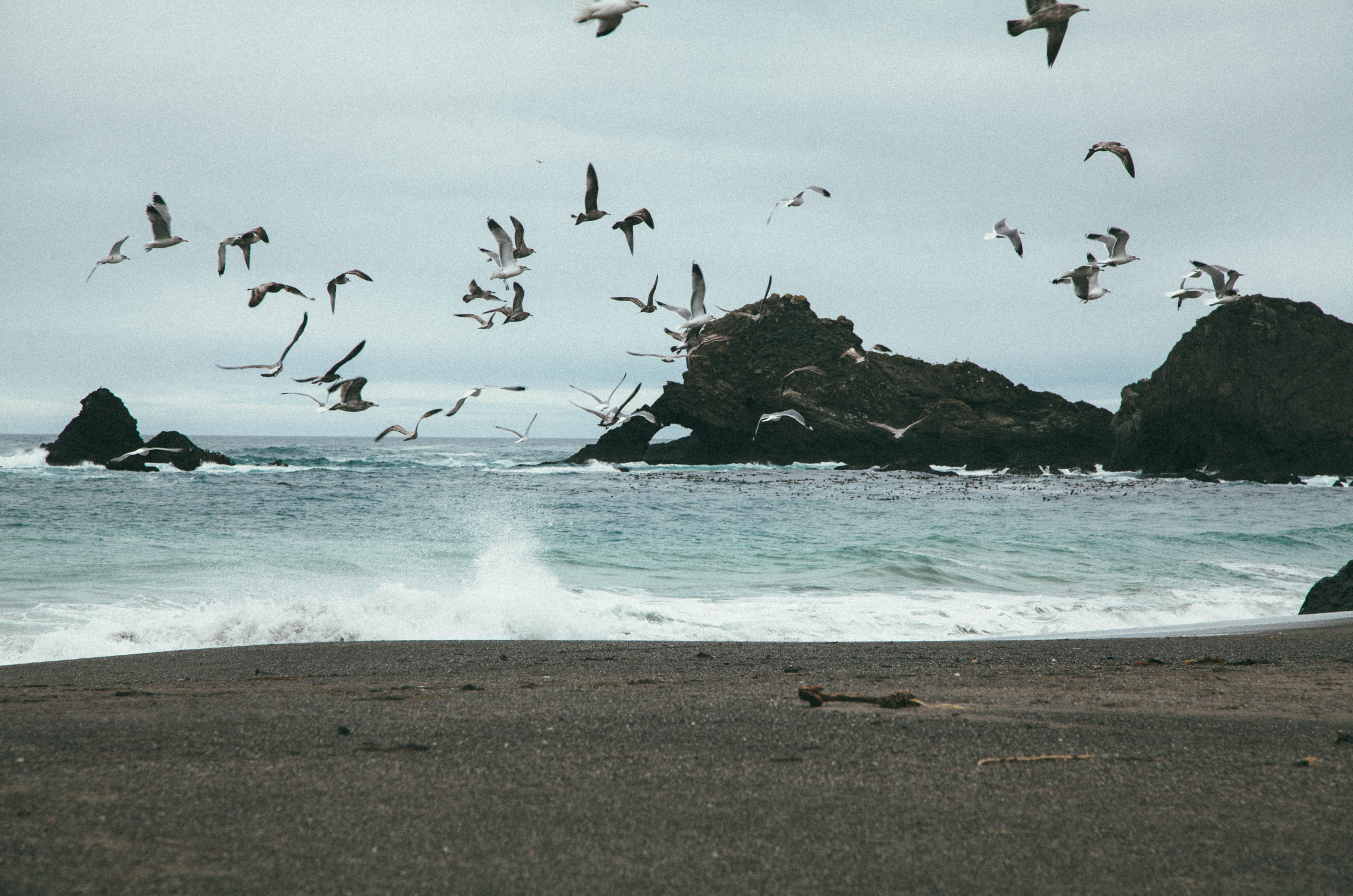 Navarro Beach