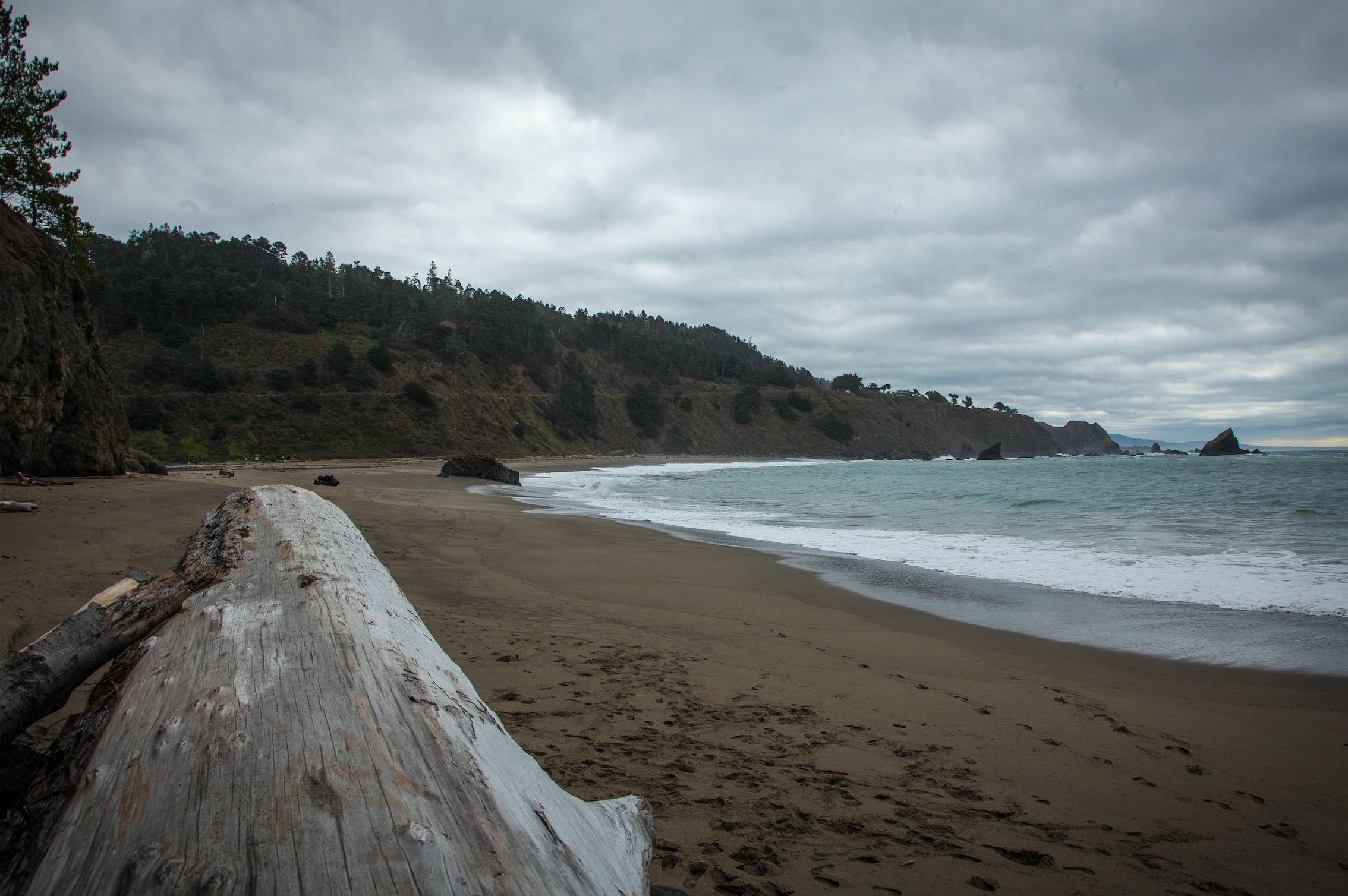 Navarro Beach