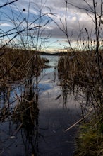 Ferguson Lake Loop