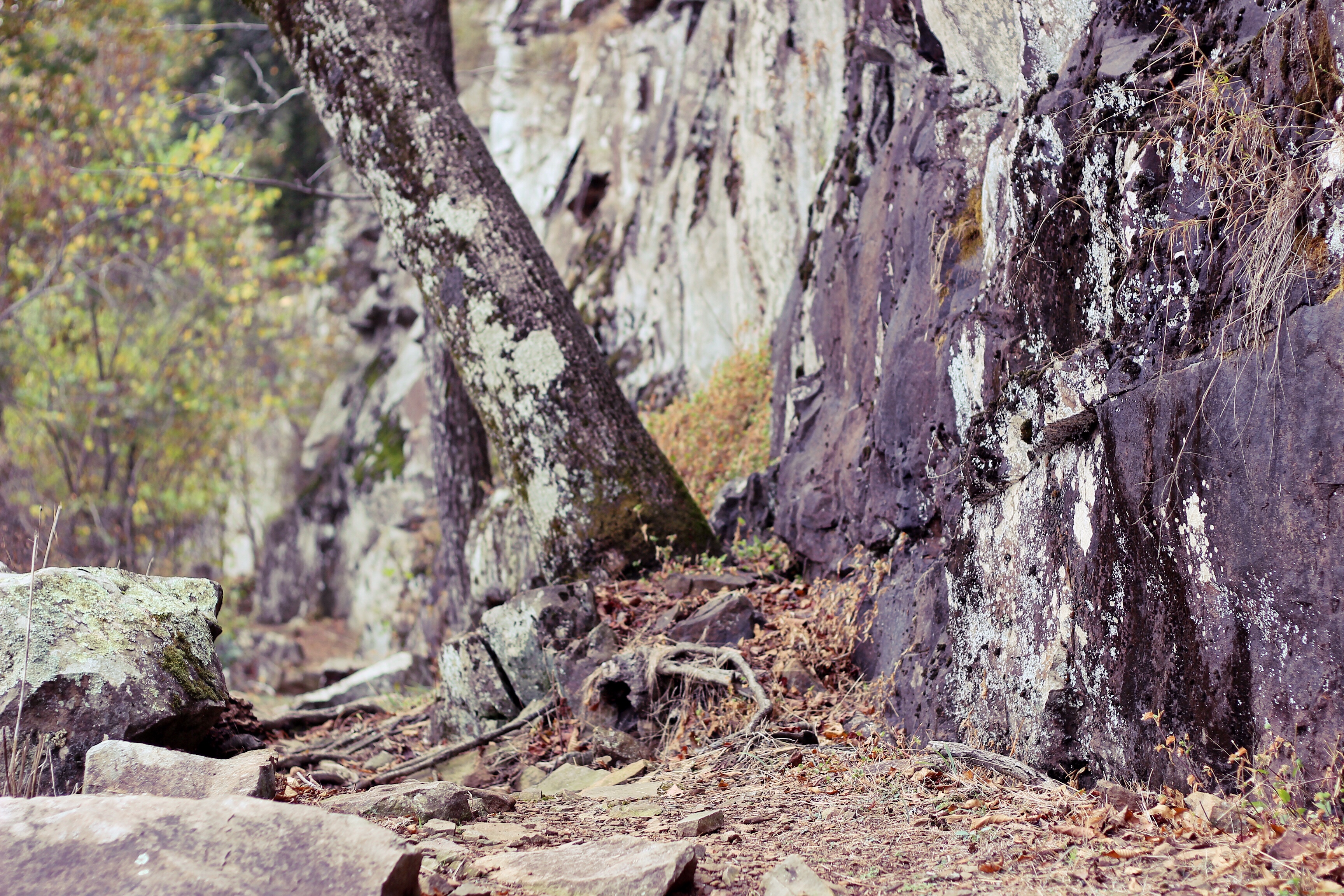 Hike the Rim Trail at Mount Nebo SP