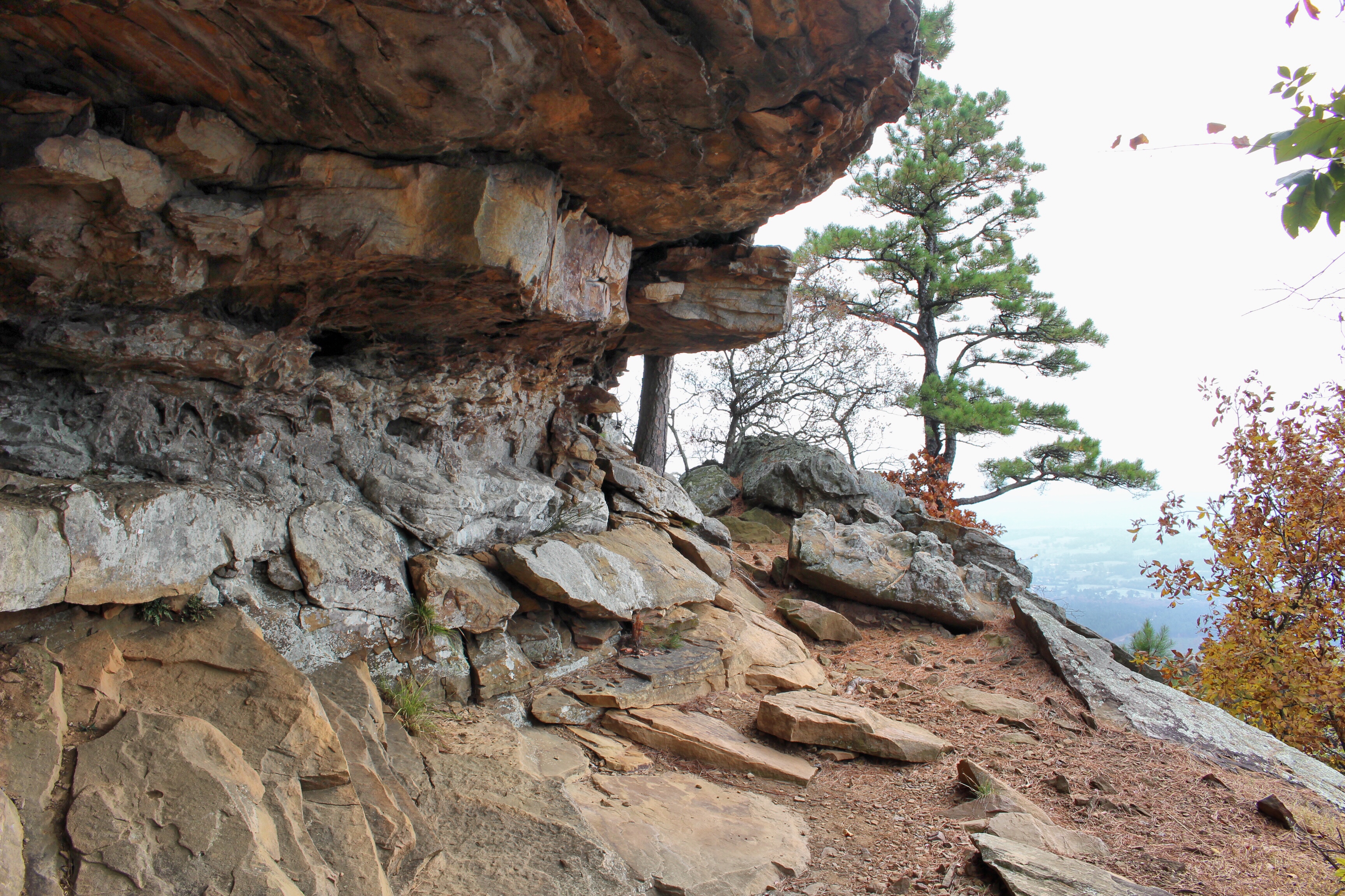 Hike the Rim Trail at Mount Nebo SP