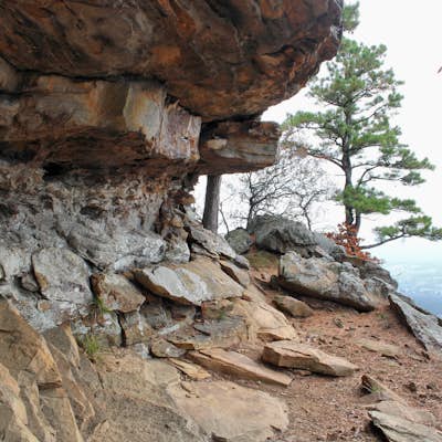 Hike the Rim Trail at Mount Nebo SP