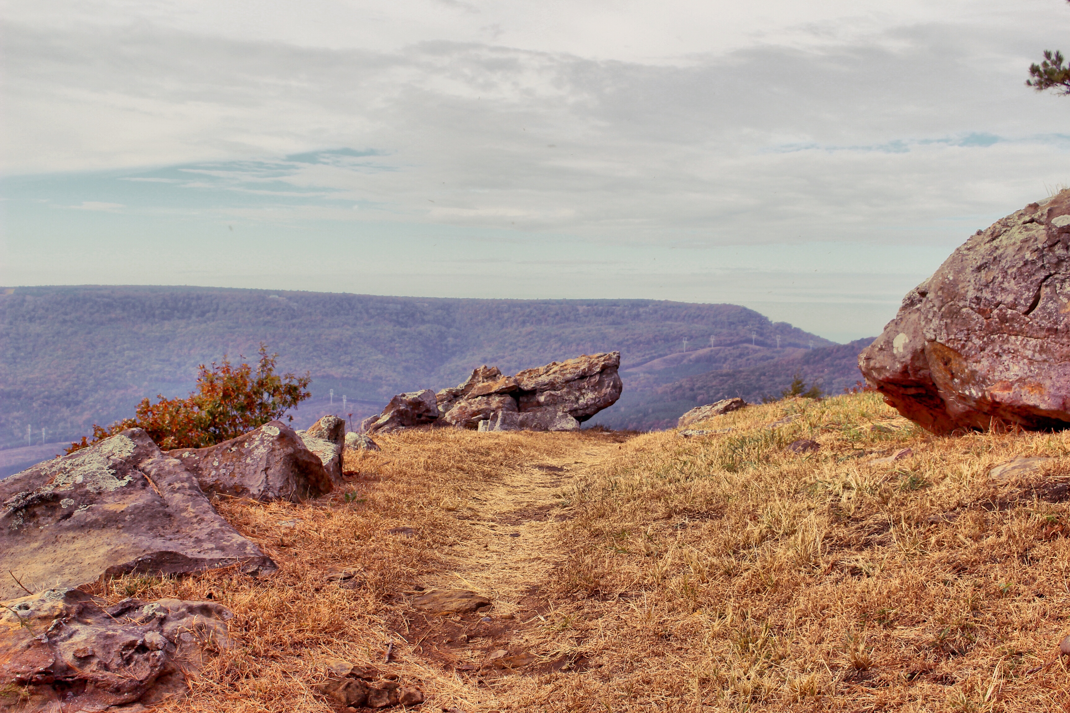 Hike the Rim Trail at Mount Nebo SP