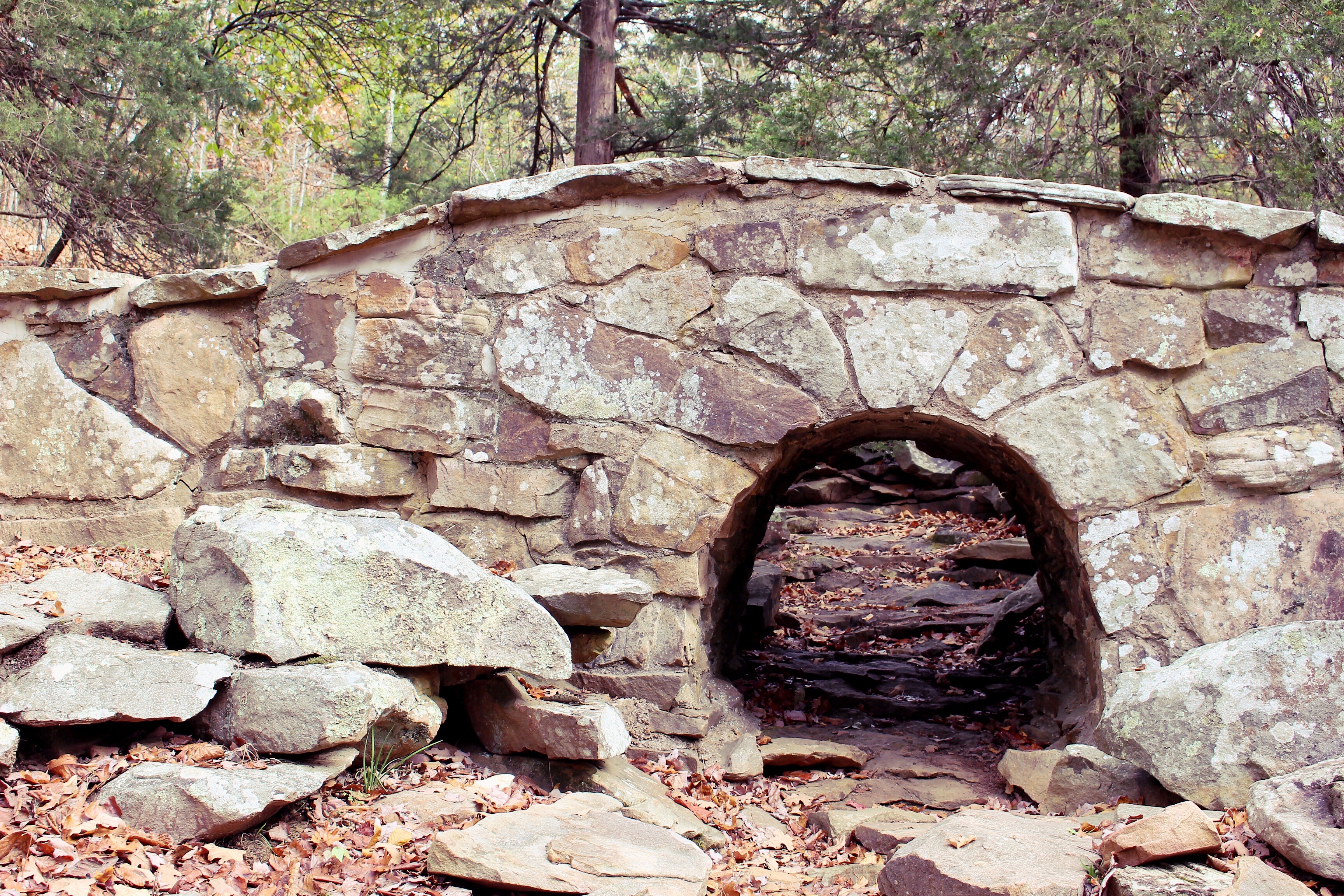 Hike the Rim Trail at Mount Nebo SP