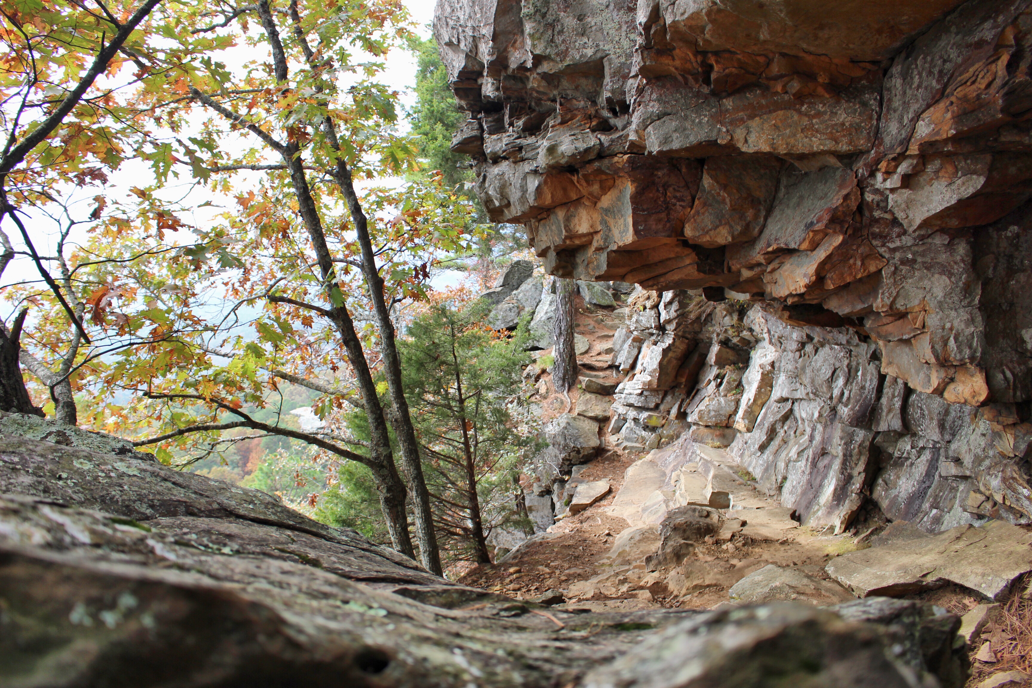 Hike the Rim Trail at Mount Nebo SP