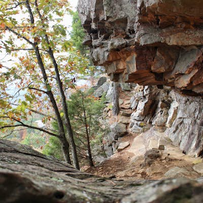 Hike the Rim Trail at Mount Nebo SP