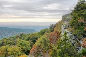 Hike the Rim Trail at Mount Nebo SP