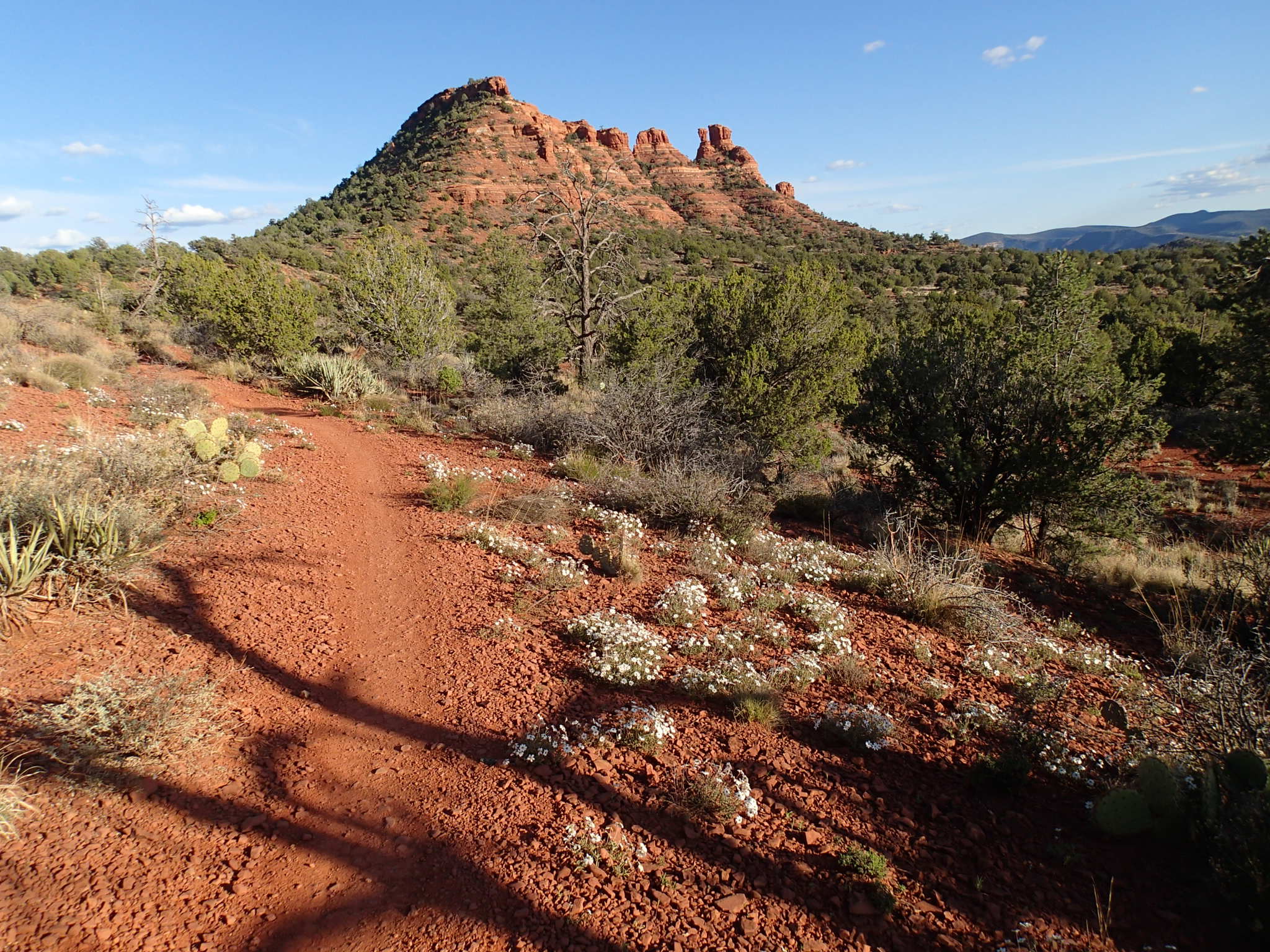 Hike the Cockscomb Trail