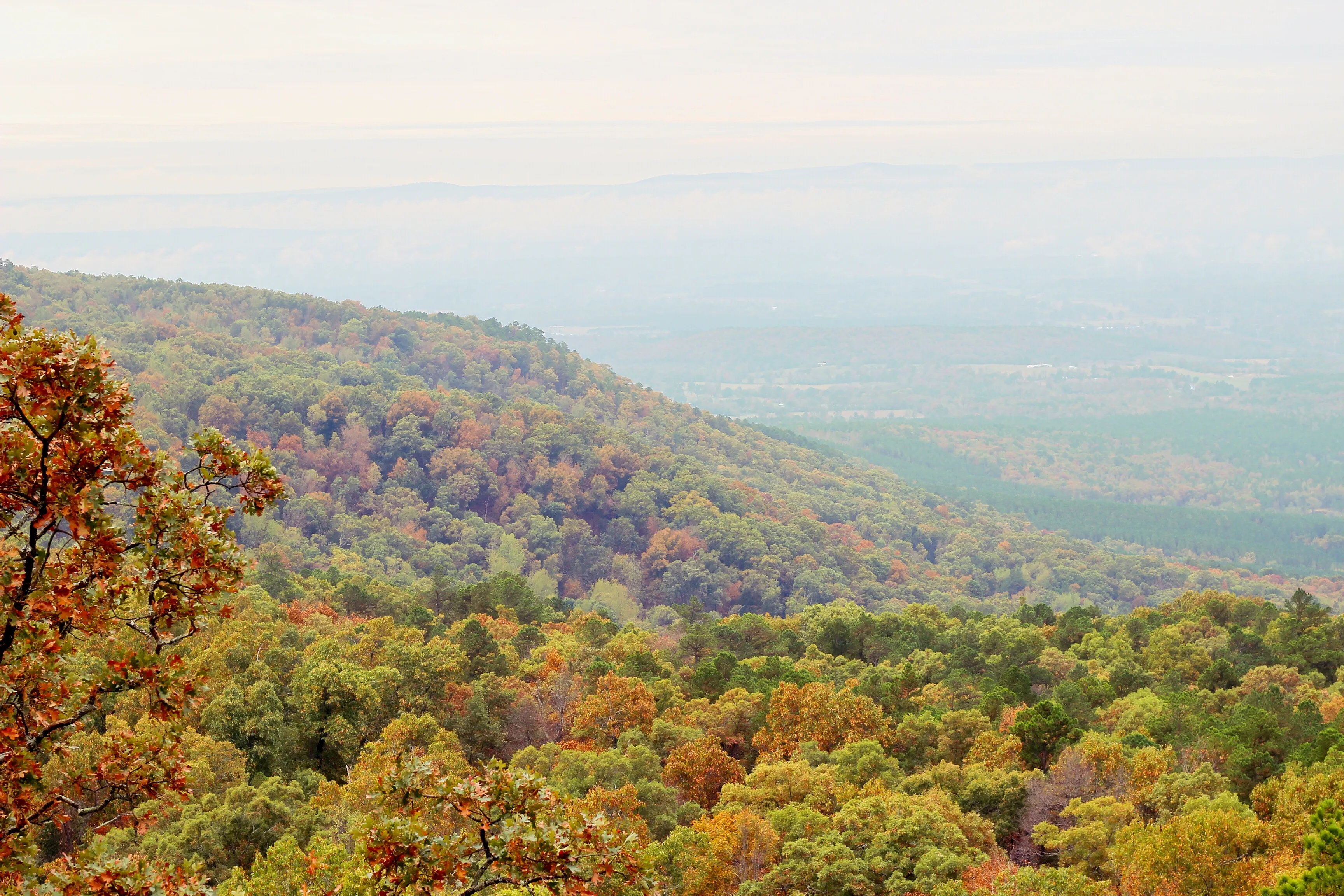 Camp at Mount Nebo SP