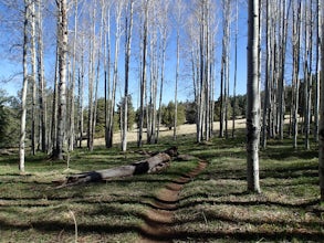 Hike Aspen Corner to Bismark Lake on the Arizona Trail