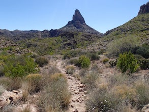 Weavers Needle Loop