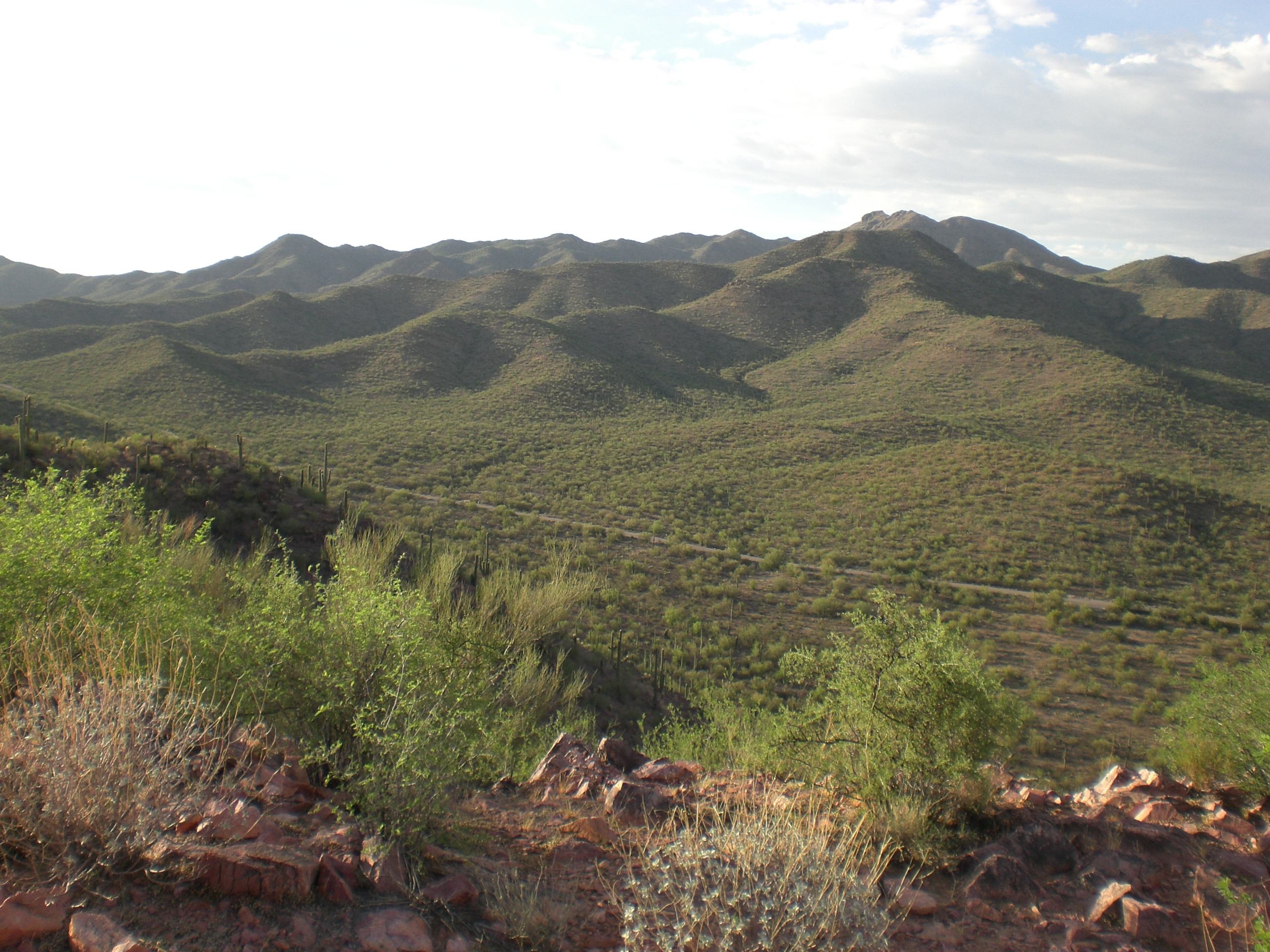 Brown Mountain Trail