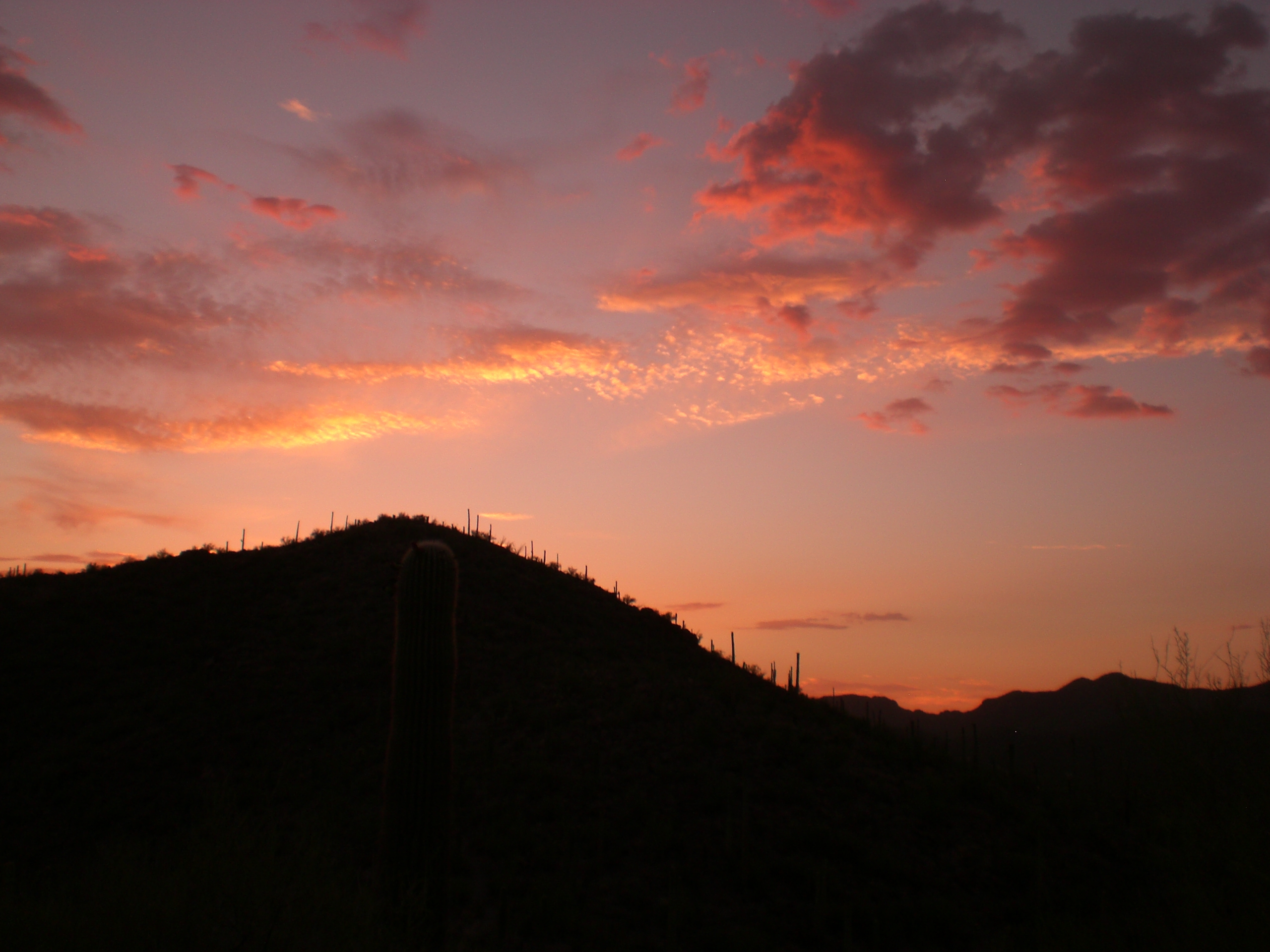 Brown Mountain Trail
