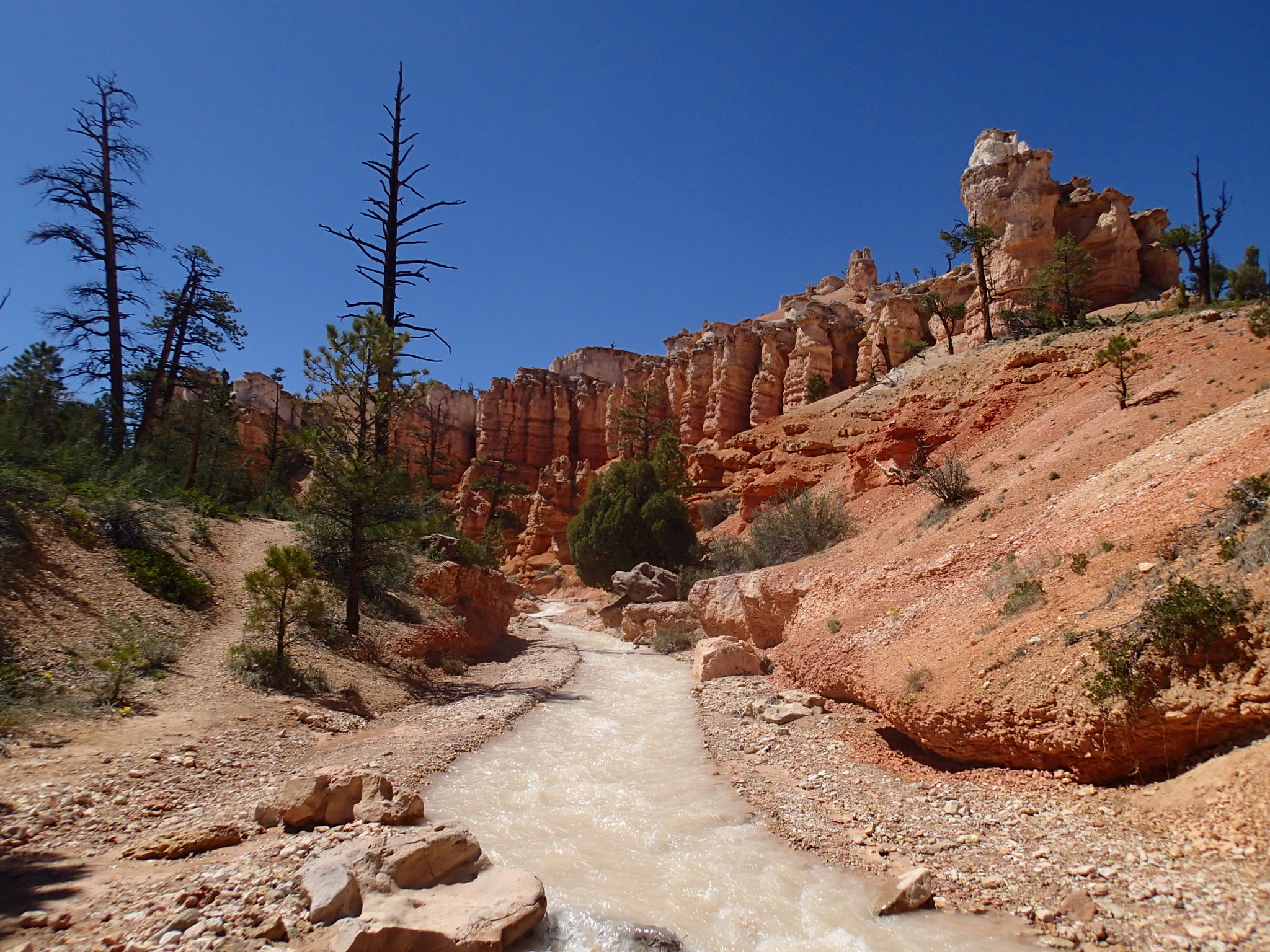 Hike the Tropic Ditch Trail, Tropic, Utah
