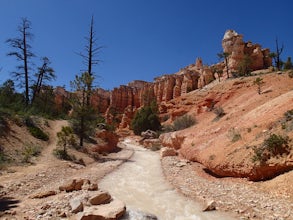 Hike the Tropic Ditch Trail