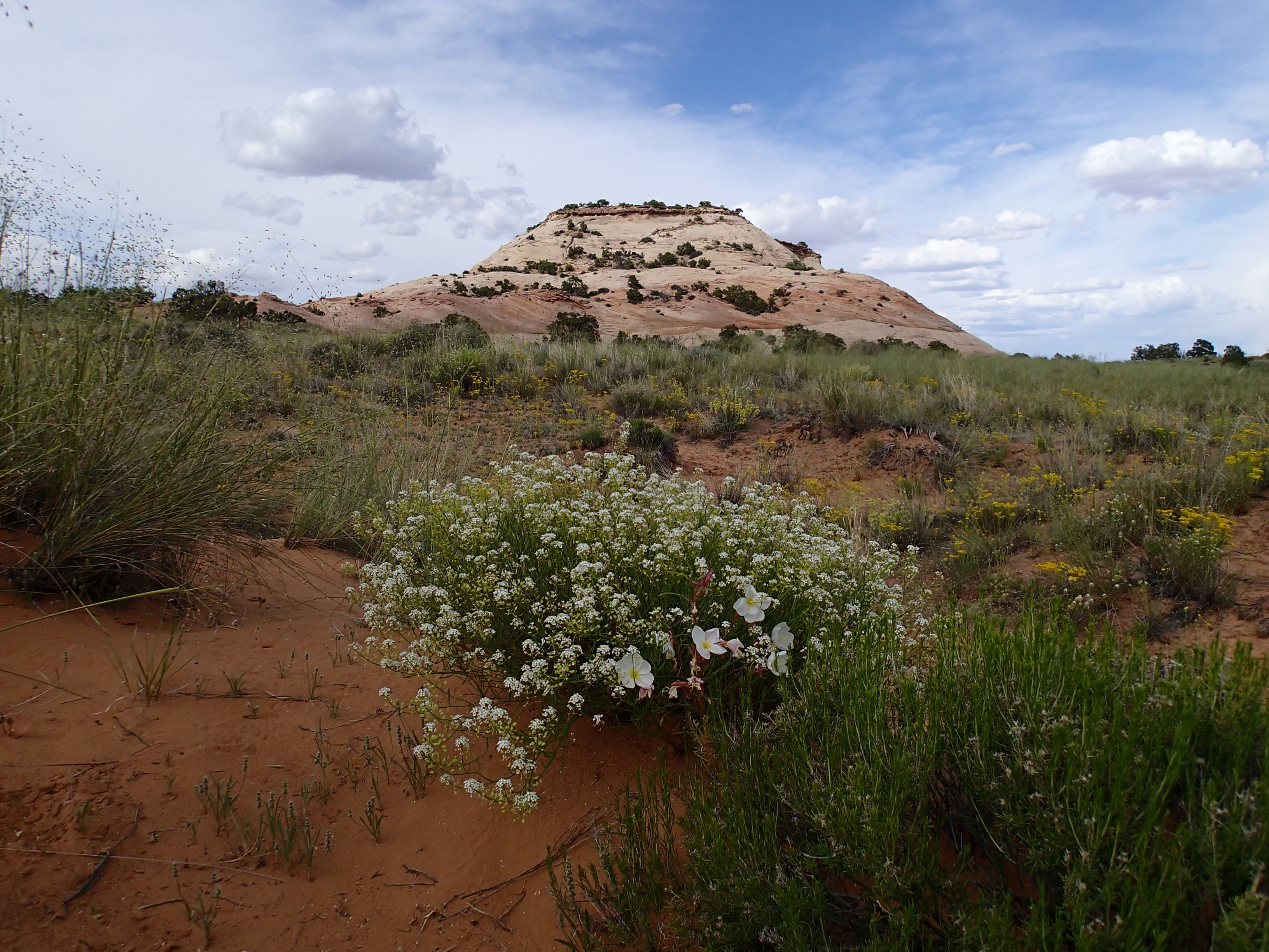 Hike the Aztec Butte Trail
