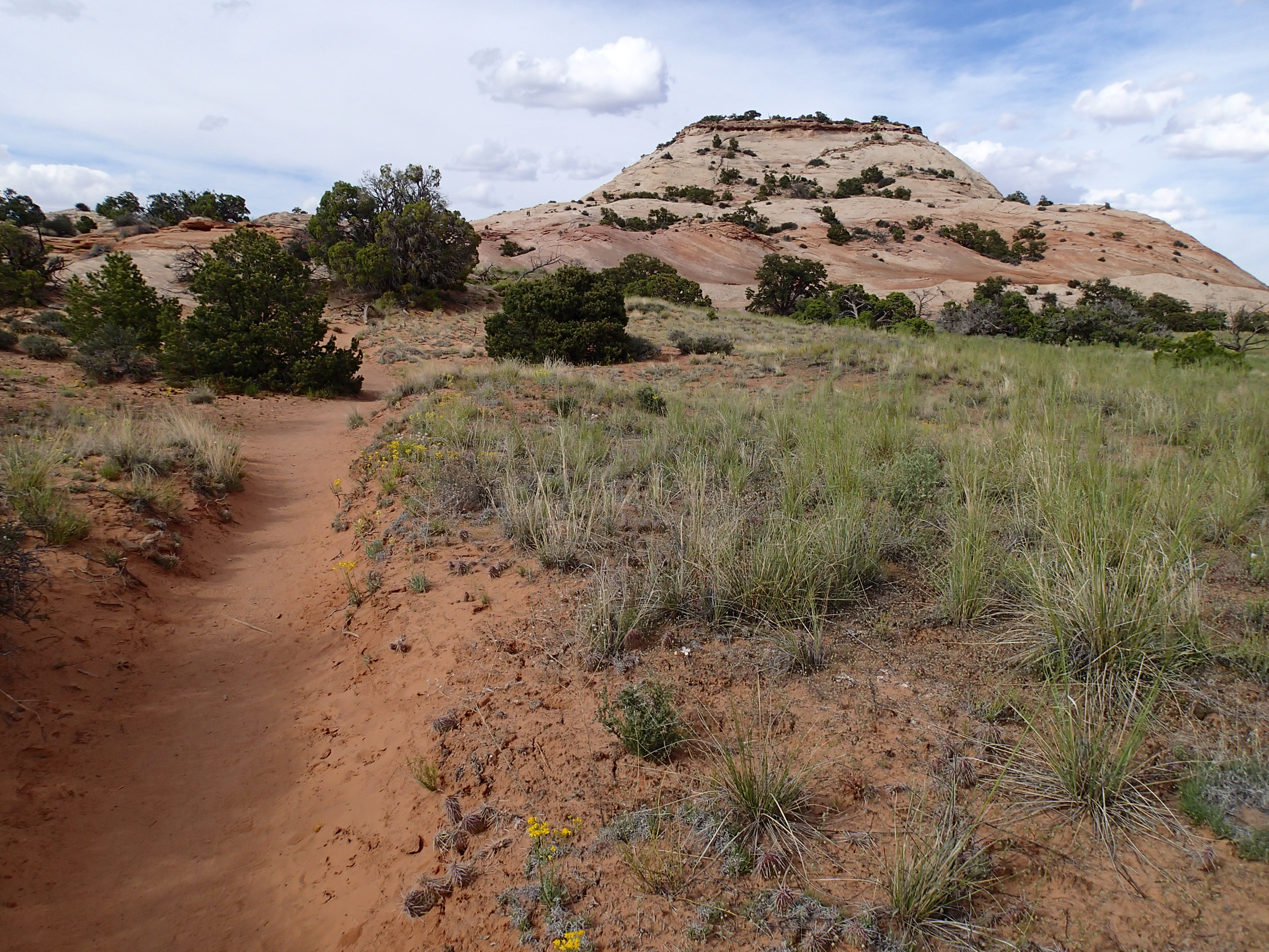 Hike the Aztec Butte Trail