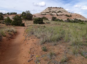 Hike the Aztec Butte Trail