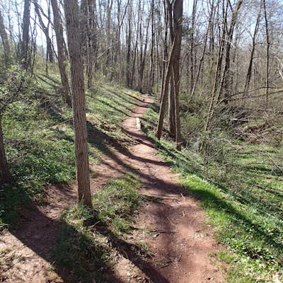 Hike the Skippack Creek Trail