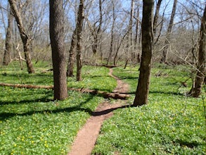 Hike the Skippack Creek Trail