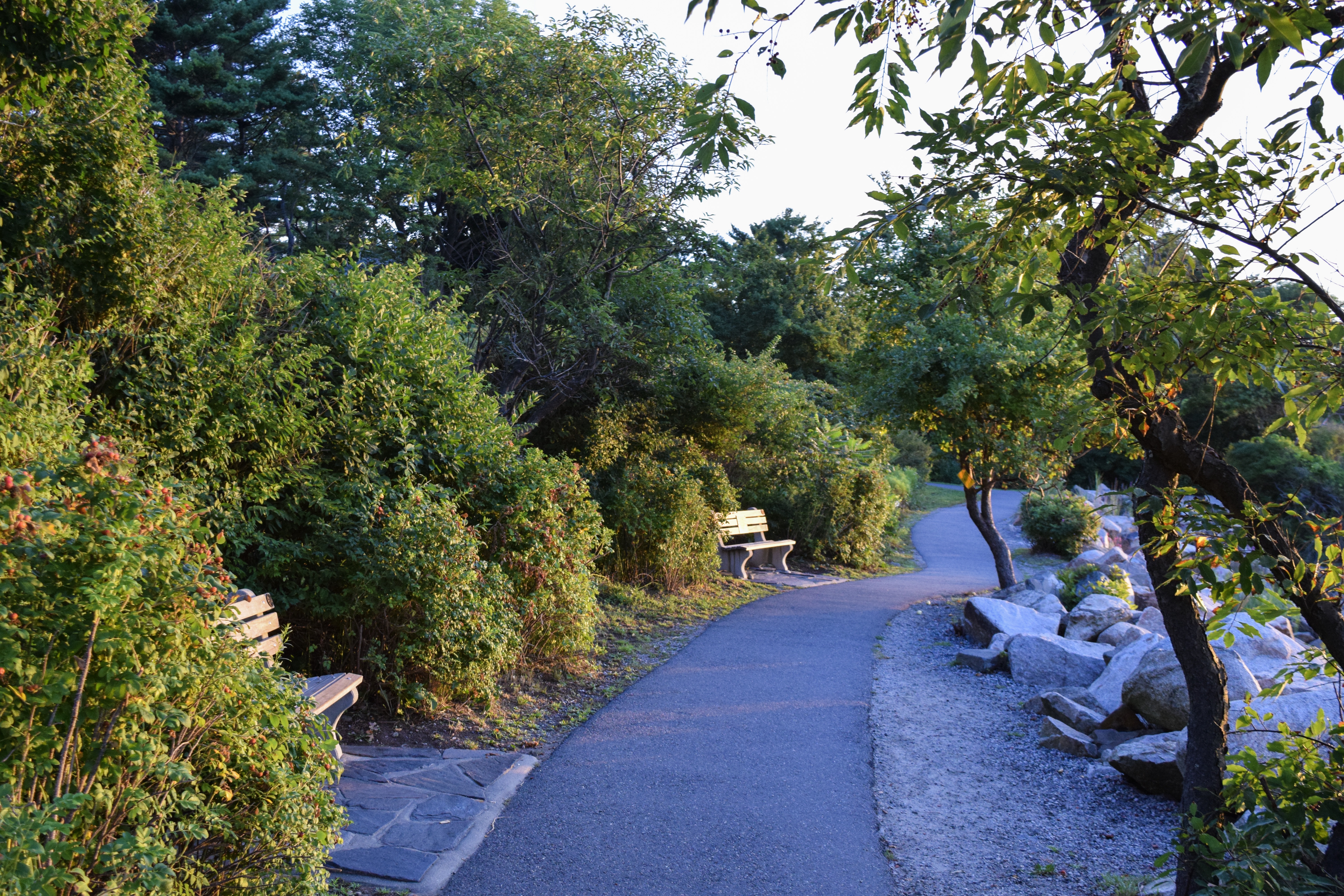 Watch the Sunrise from the Marginal Way Trail