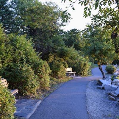Watch the Sunrise from the Marginal Way Trail