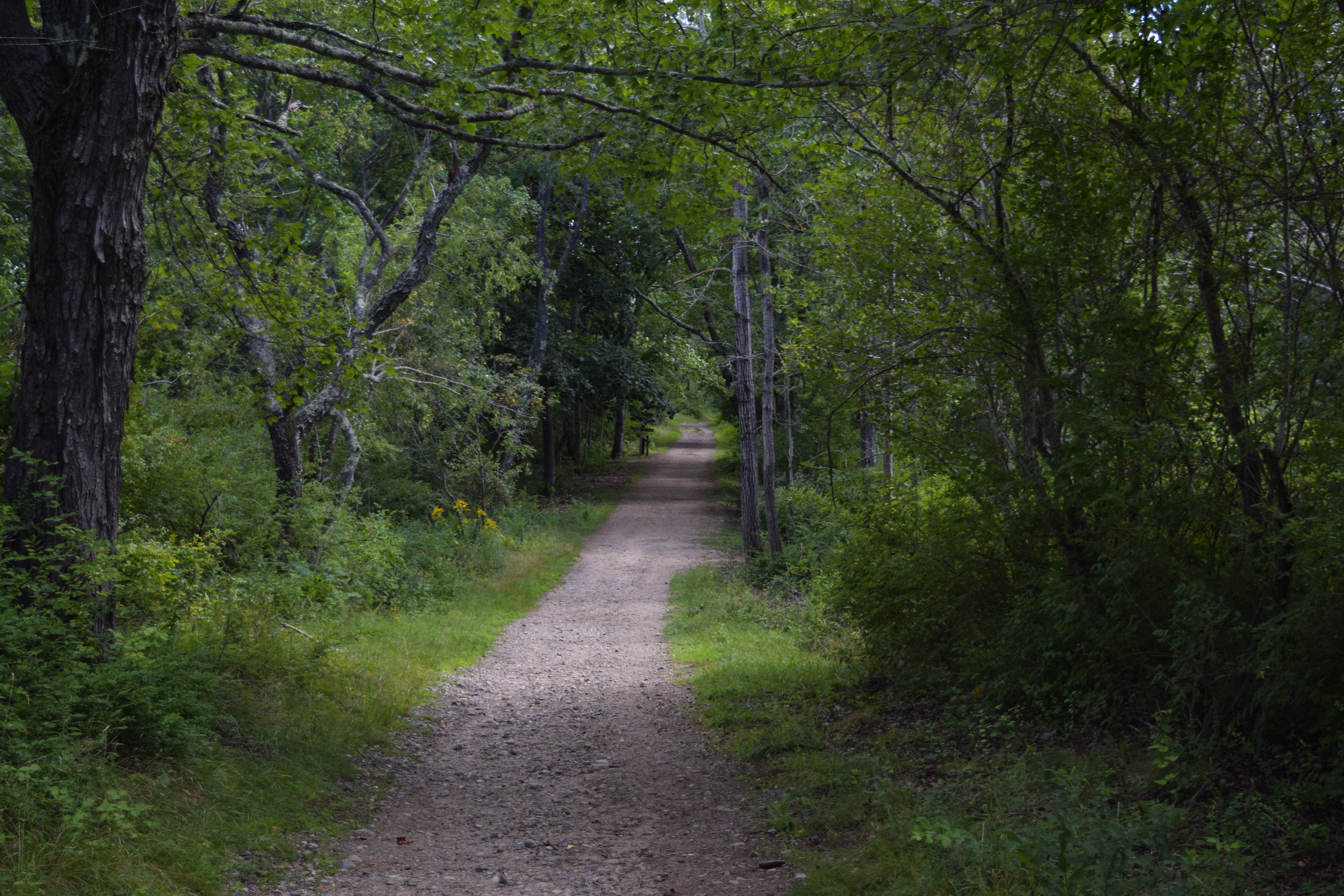 Hike to Laudholm Beach at Wells National Estuarine Reserve