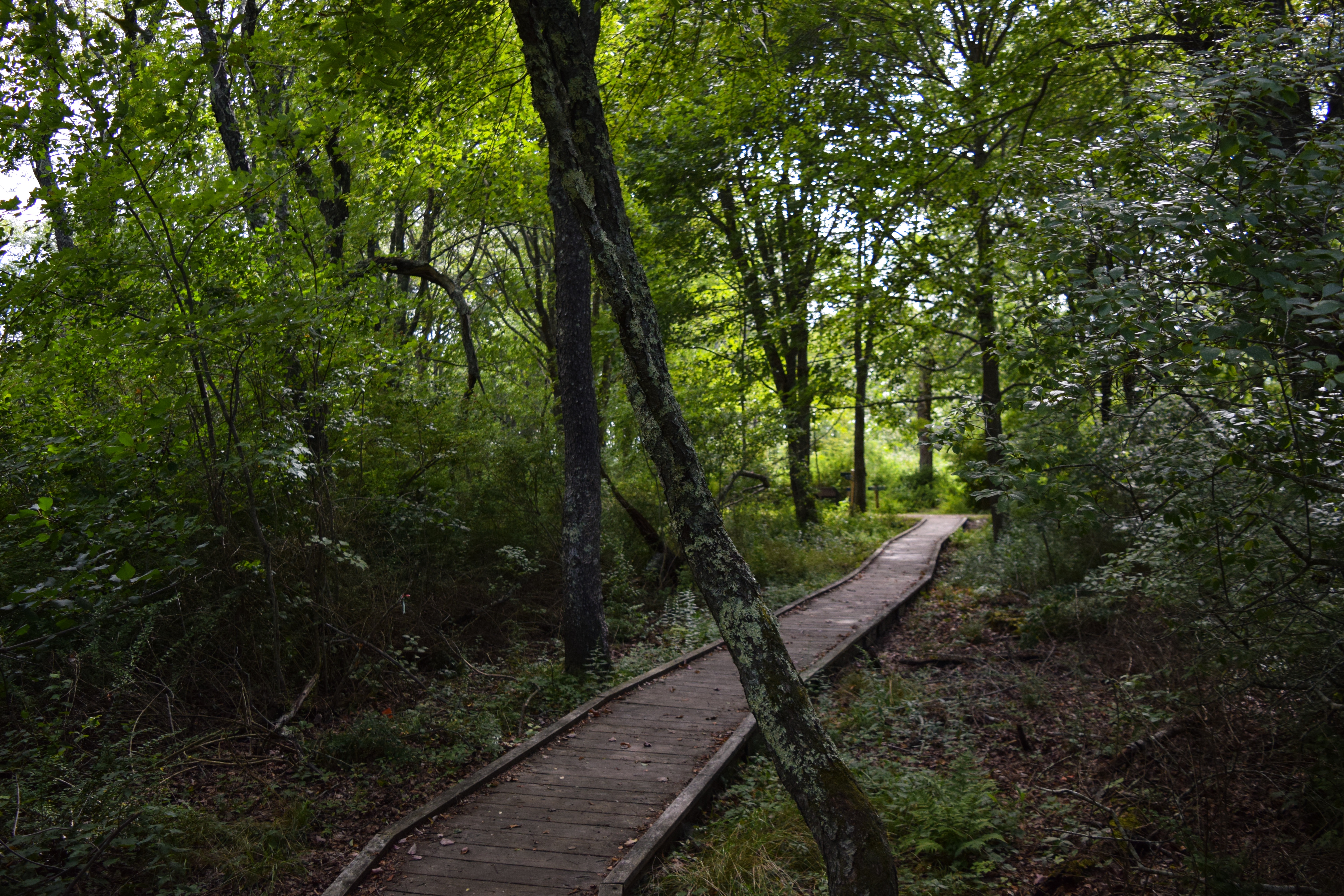 Hike to Laudholm Beach at Wells National Estuarine Reserve
