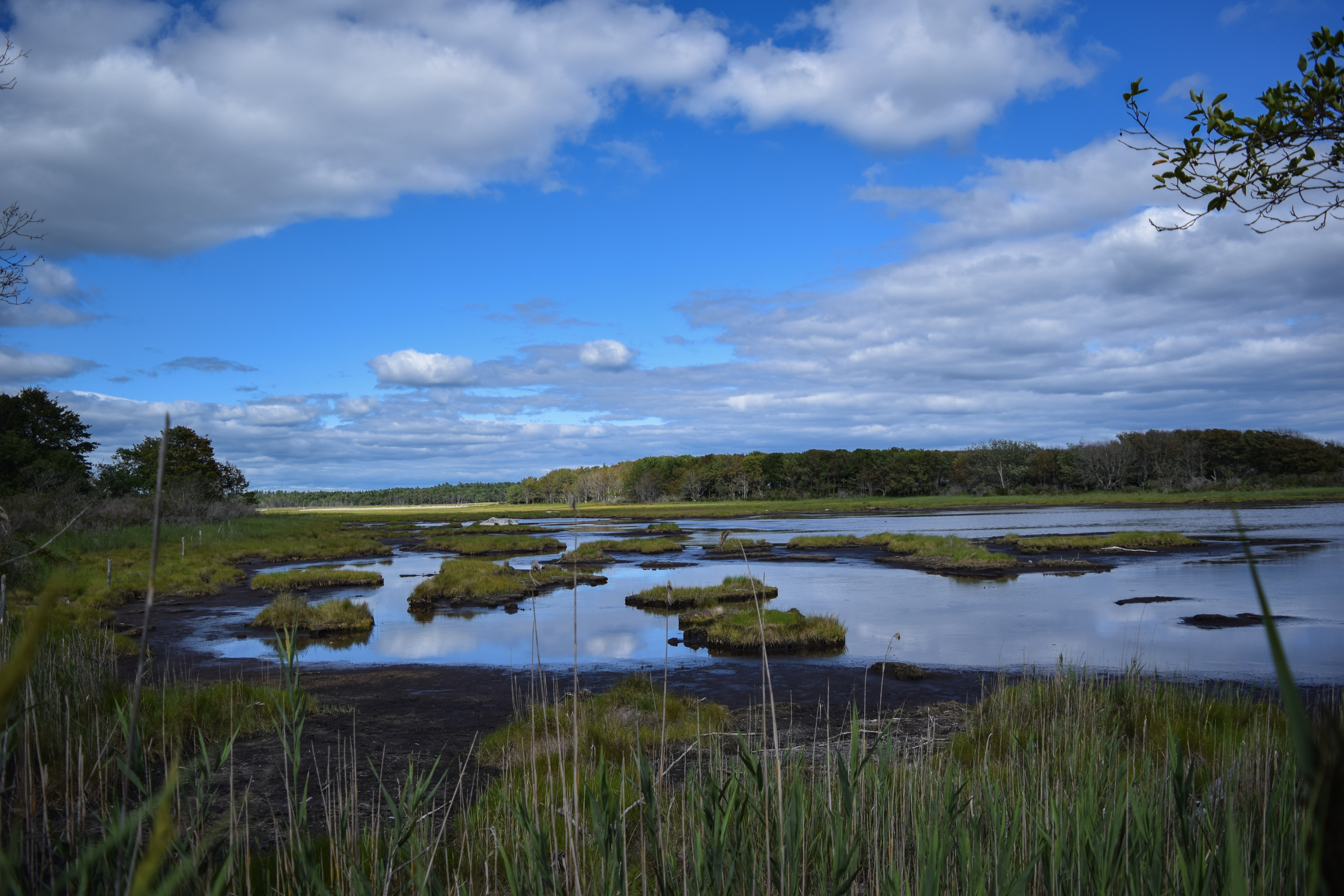 Hike to Laudholm Beach at Wells National Estuarine Reserve
