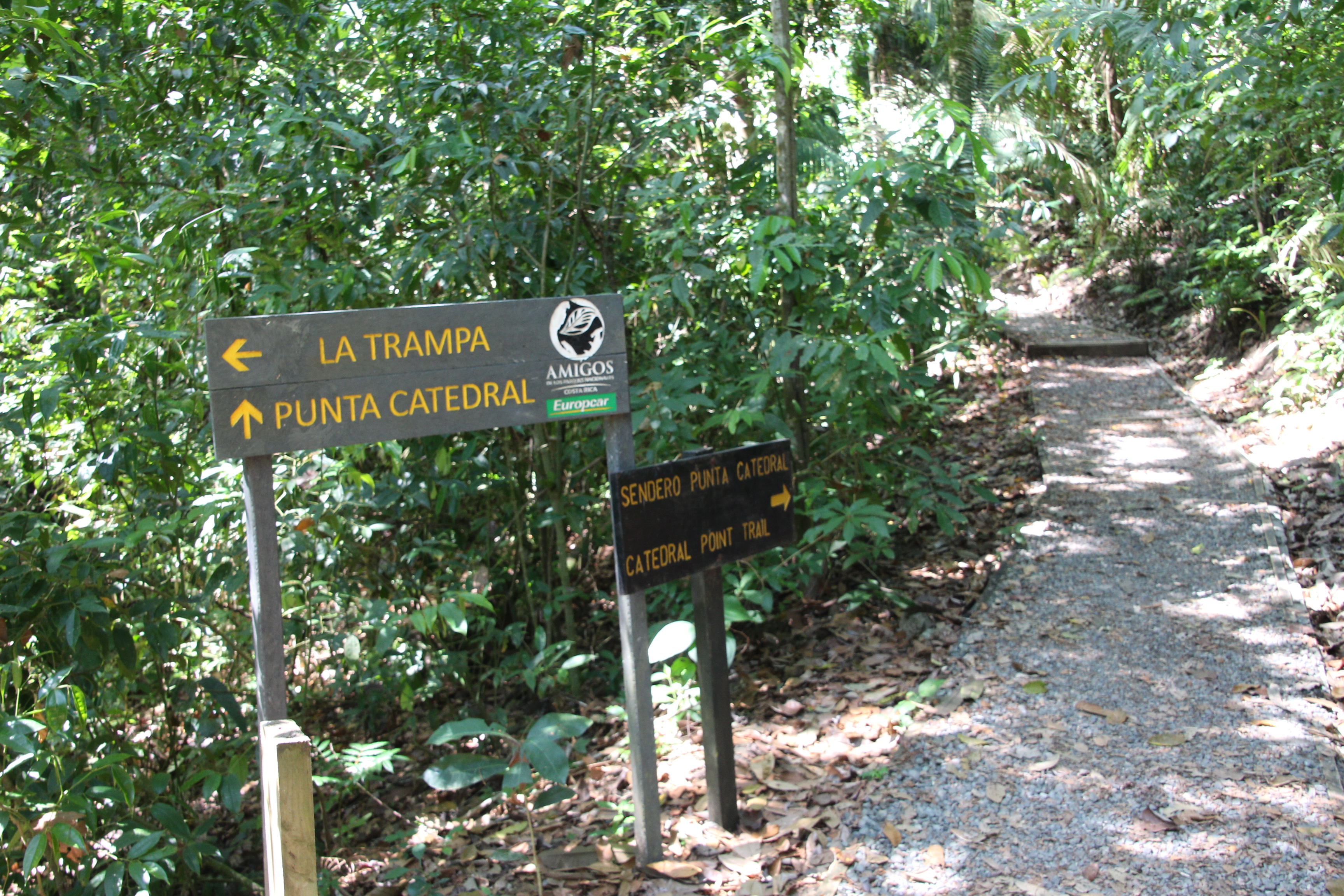 Hike Sendero Punta Catedral