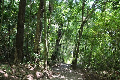Hike Sendero Punta Catedral