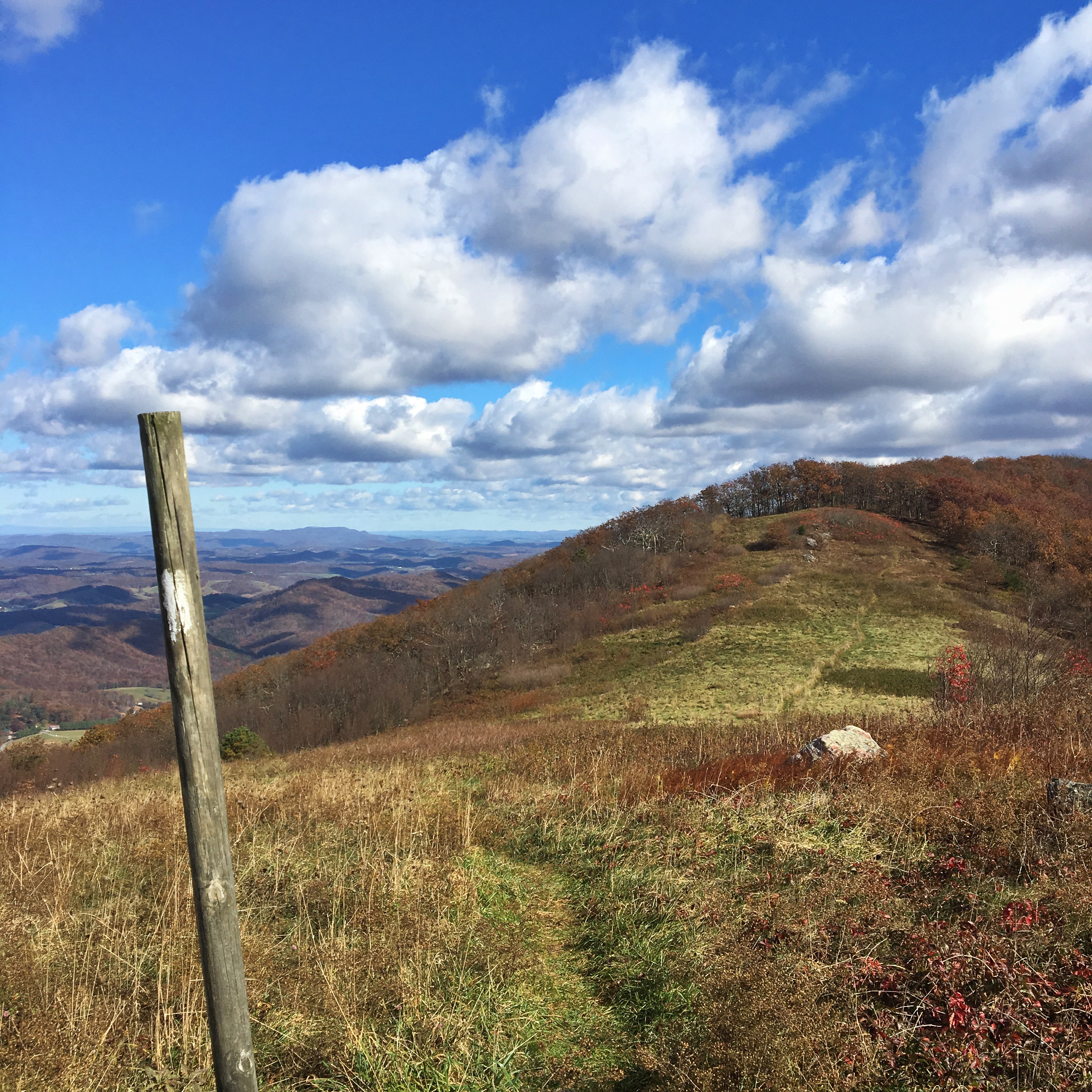 Rice Fields via Appalachian Trail, Narrows, Virginia