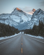 The Icefields Adventure