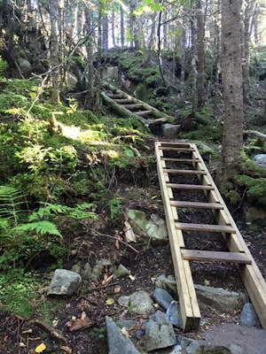 Hike to Fairy Head at Cutler Coast, Maine 