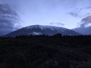 Summit Mt. Kilimanjaro via the Rongai Route