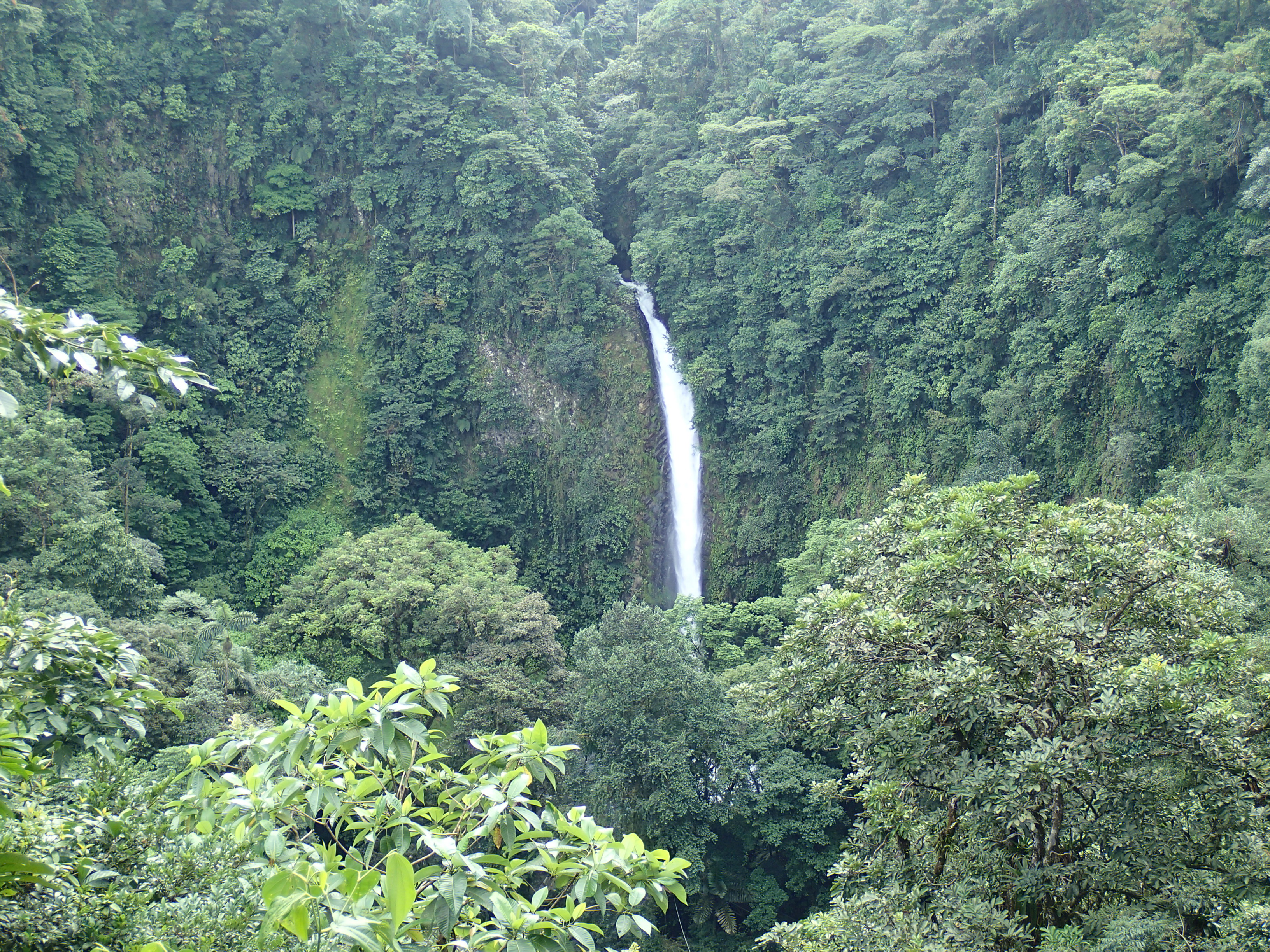 Hike to La Fortuna Falls